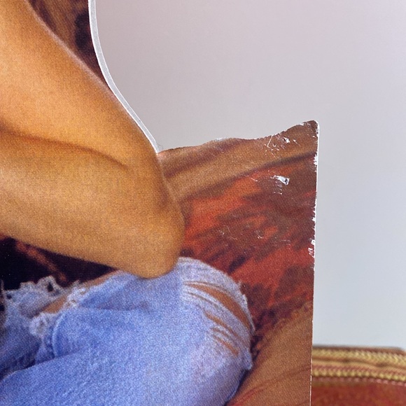 Shania Twain tabletop Standee Cardboard Display - Picture 3 of 9